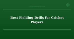 Best Fielding Drills for Cricket Players