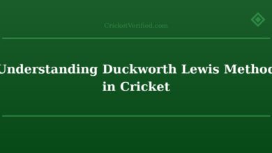 Understanding Duckworth Lewis Method in Cricket