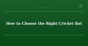 How to Choose the Right Cricket Bat