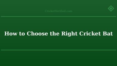 How to Choose the Right Cricket Bat